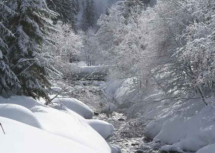 Wastingerhof Apartment Obertilliach